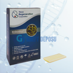 Biogenix Cortical Strut Plate