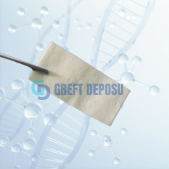 CenoMembran Allogreft Collagen Matrix Fasya Membran