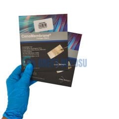 CenoMembran Allogreft Perikardiyal Membran 20*20